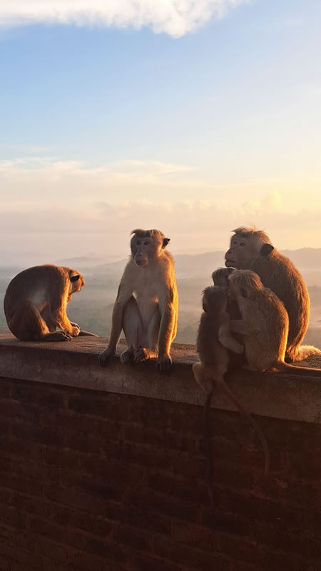 WhatsApp Image 2026-02-15 at 8.28.13 PM